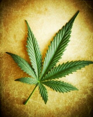 cannabis massage
